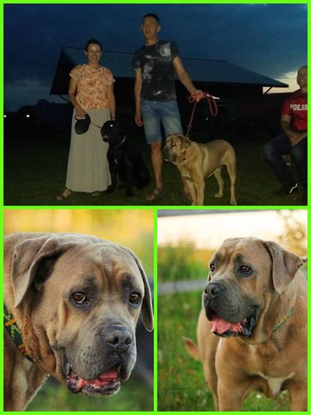 Kajzer został adoptowany i zamieszkał w Płocku ! <3
